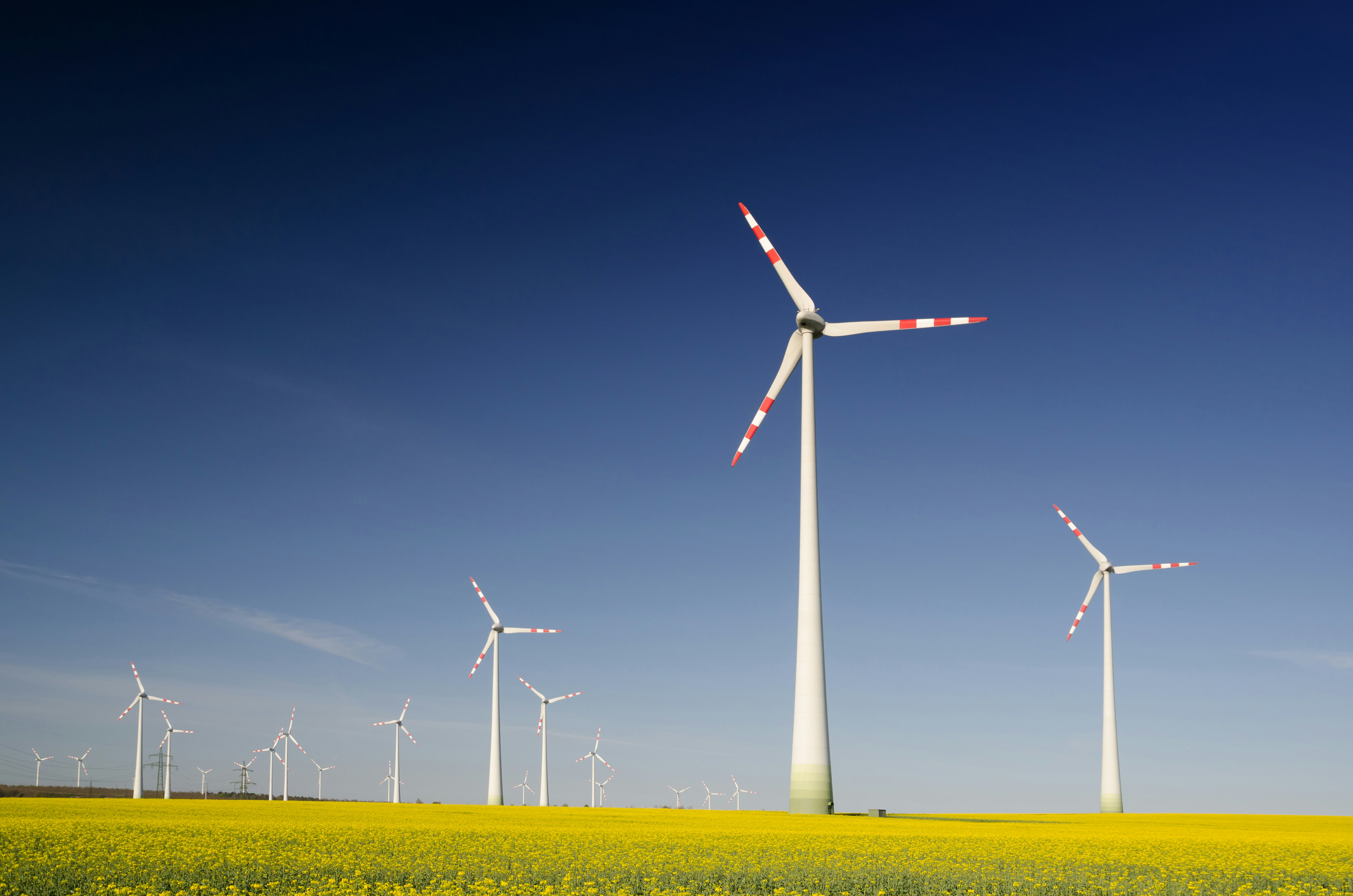 Sustainability Reporting